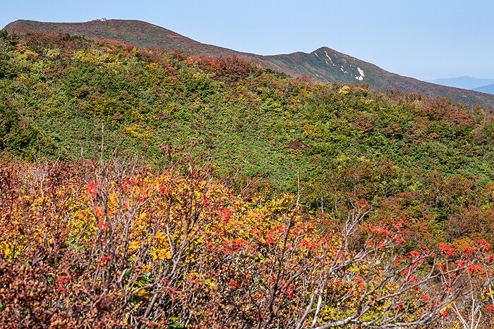 _DSC2980-1
