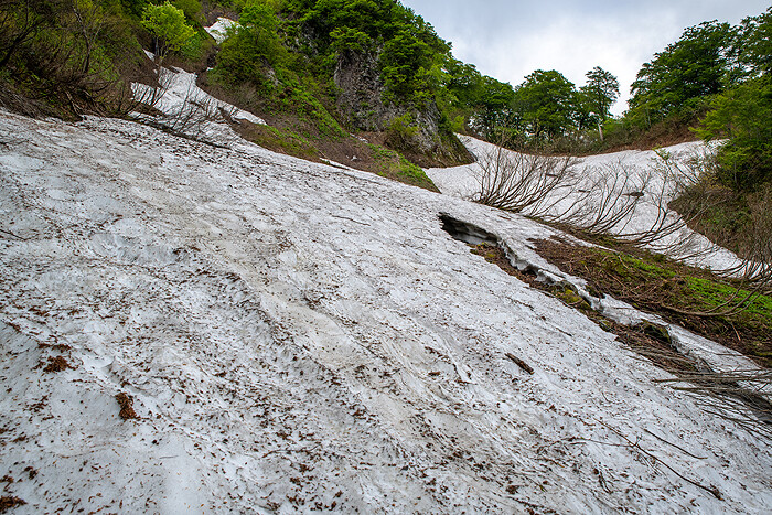 _DSC7483-1