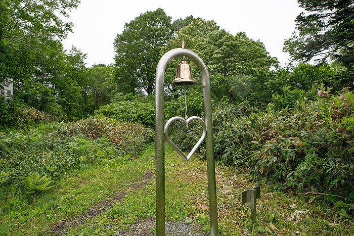 DSC_6265-1
