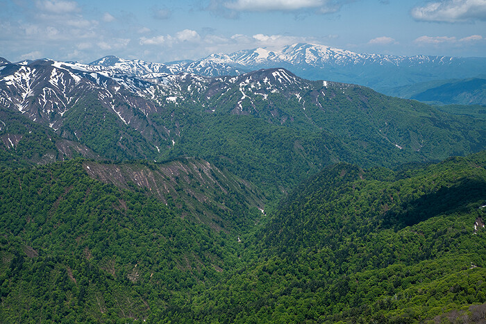 _DSC2701 (1)-1