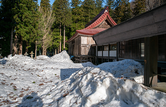 _DSC4510-1