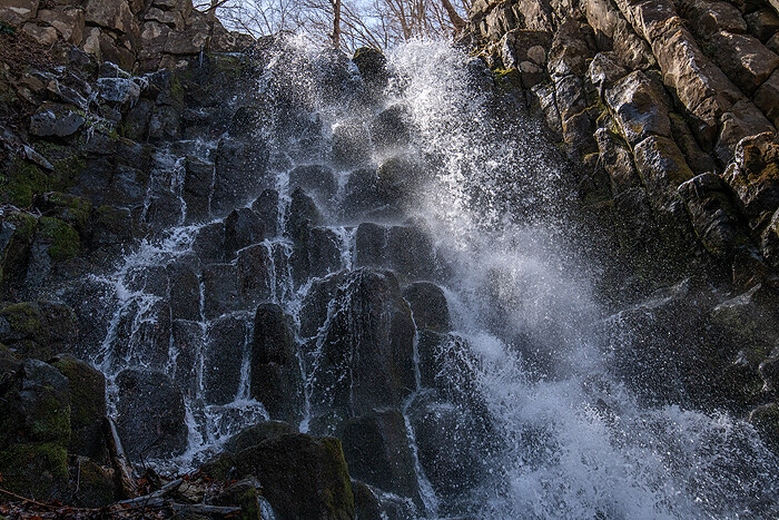 _DSC1638-1