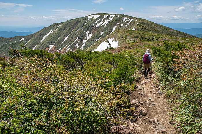 _DSC3330-1