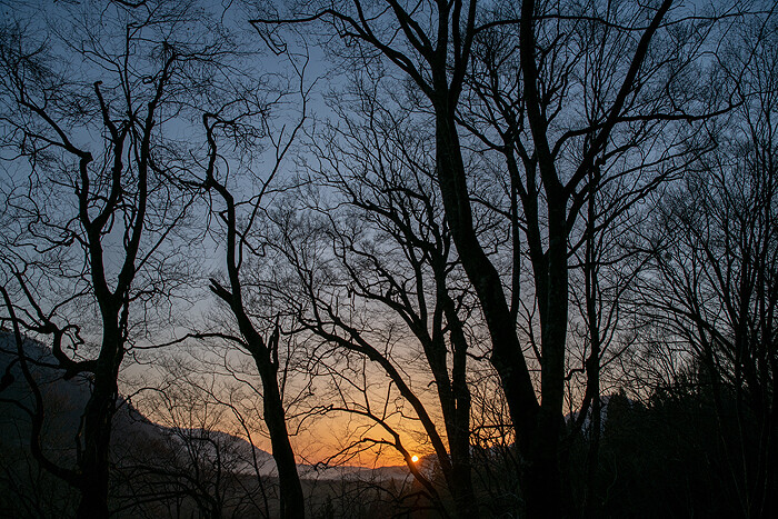 DSC_3241-1
