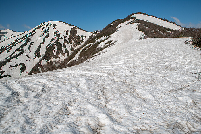 _DSC2612 (1)-1