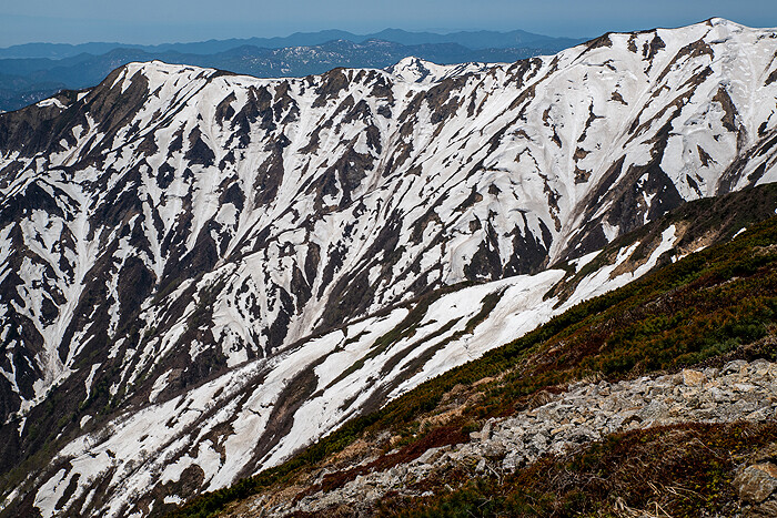 _DSC6050-1