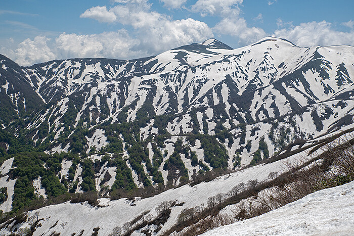 _DSC2706 (1)-2