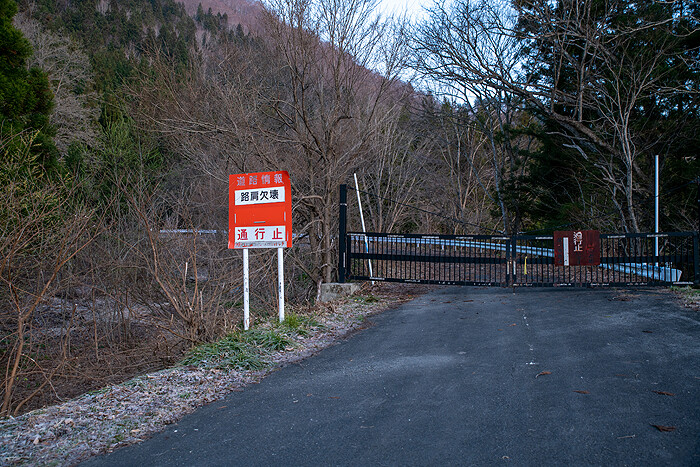 DSC_3235-1