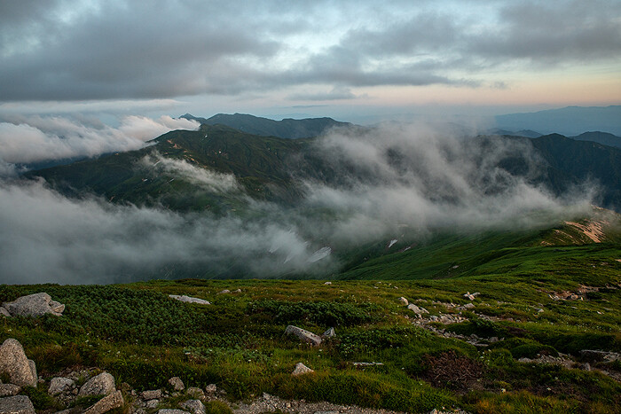 DSC_9373-1