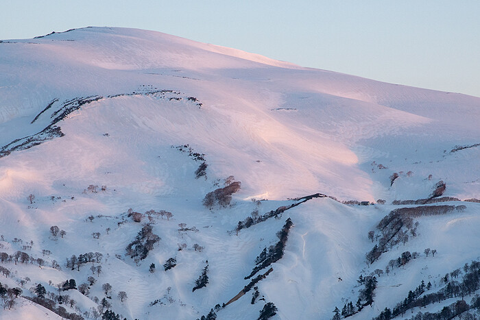 _DSC0177-1