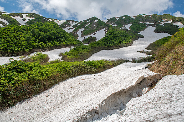 _DSC4722-1