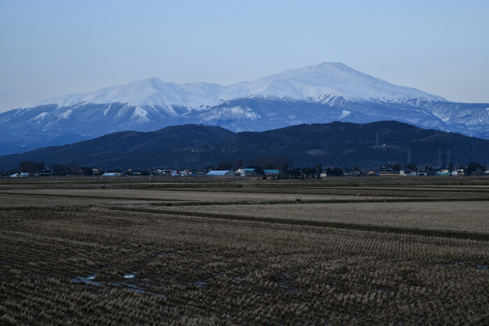 DSC_1250-1p