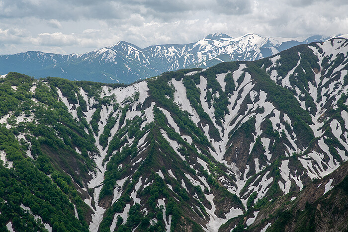 _DSC3096-1