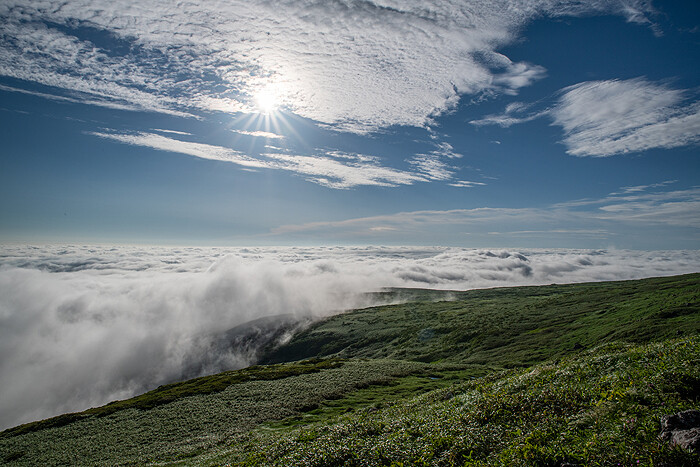_DSC9571-1