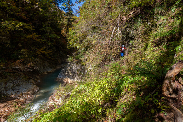 _DSC3701-1