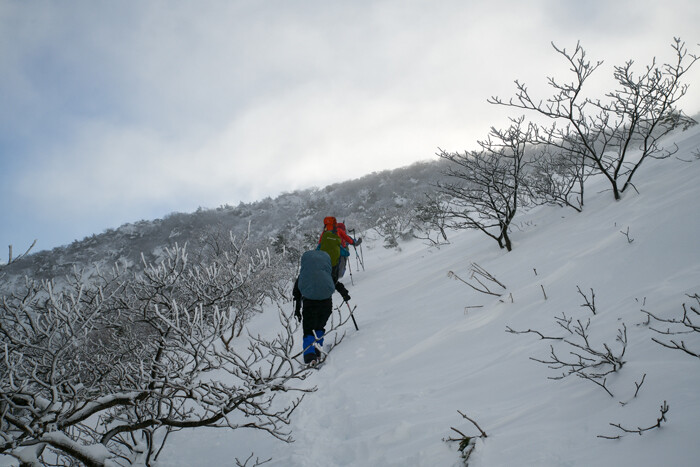 DSC_0739-1o