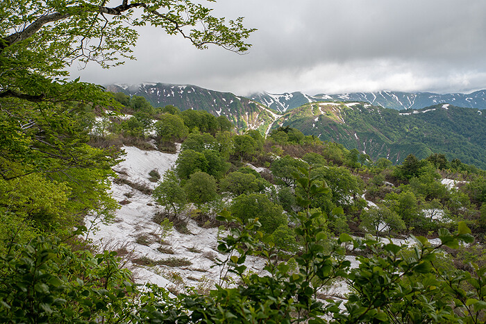 _DSC7496-1