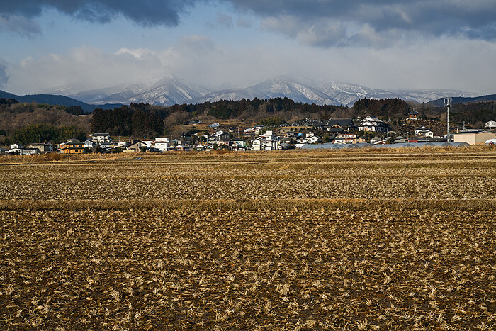 DSC_0804-1a