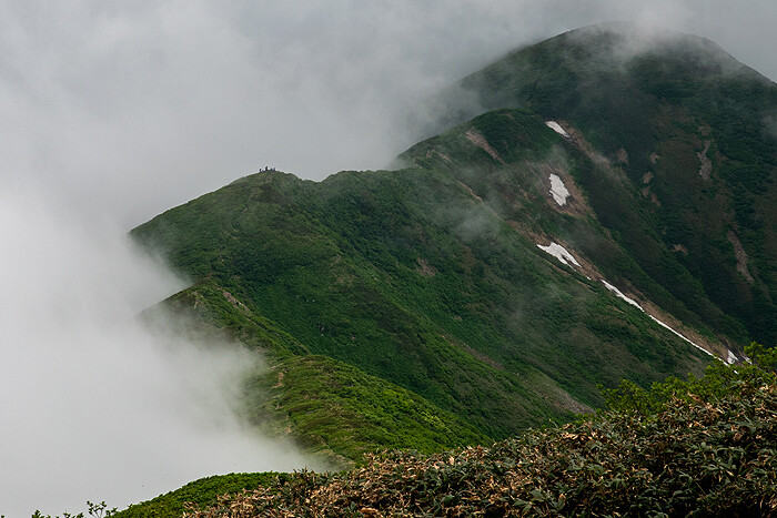 DSC_6319-1