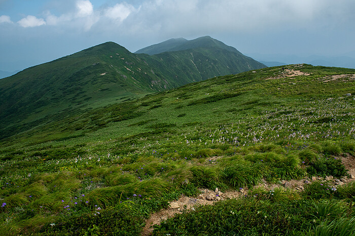 DSC_6042-1
