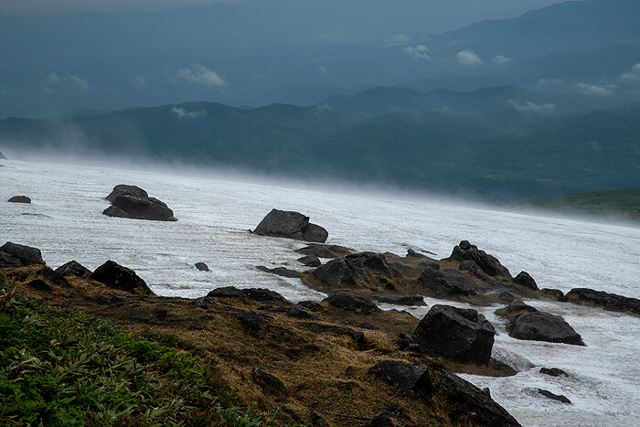 DSC_4894-1