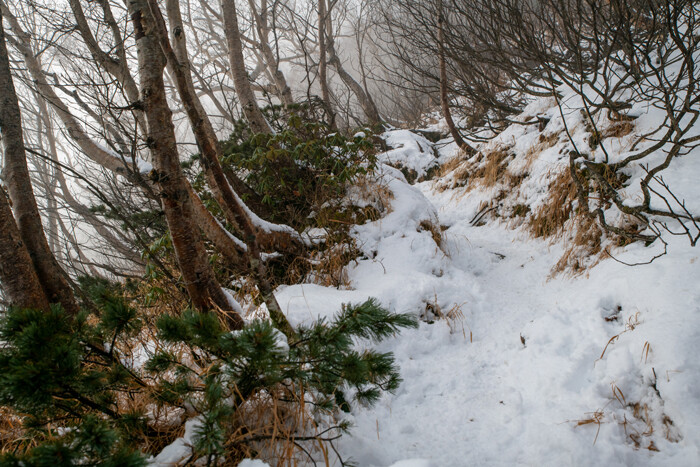 _DSC2838-1