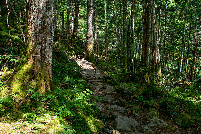 _DSC1252-1