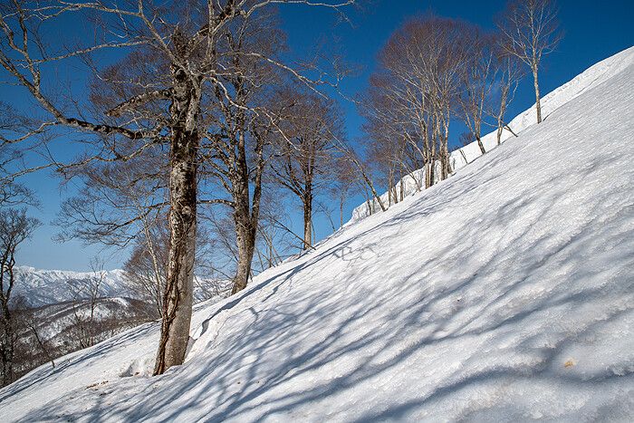_DSC0264-1