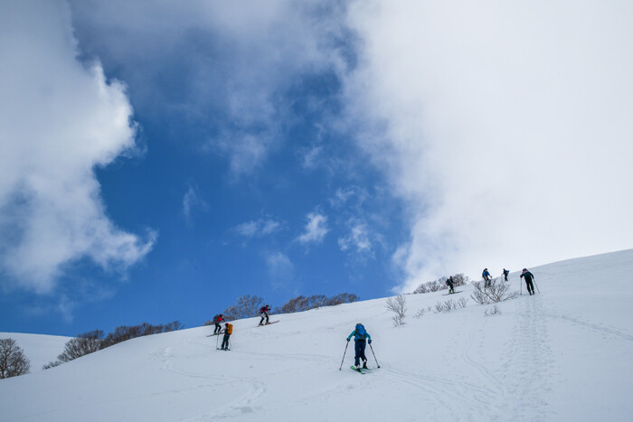 DSC_1199-1h