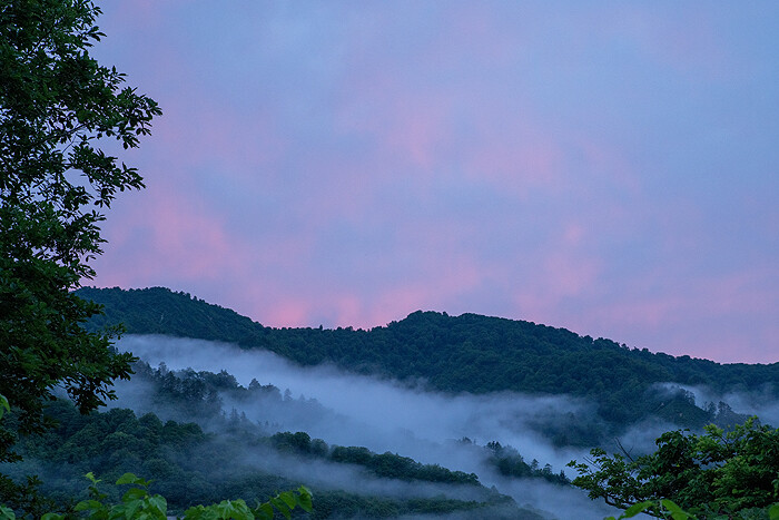DSC_4788-1