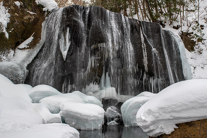 _DSC4144-1