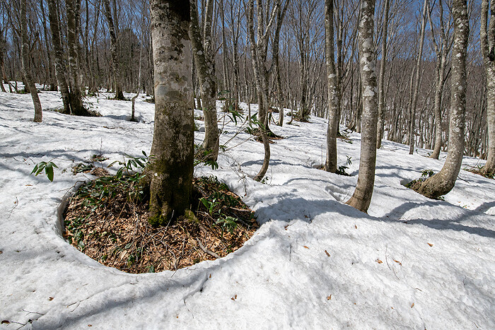 _DSC1711-1