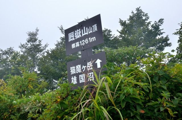 イメージ 5