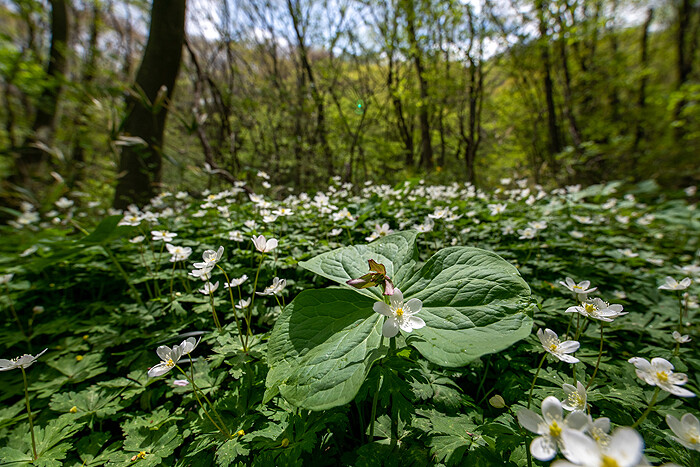 _DSC0947-1