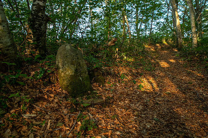 _DSC1740-1