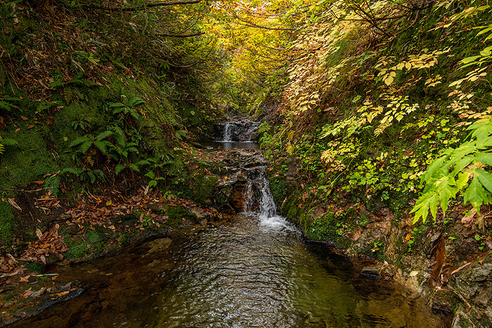 _DSC3067-1