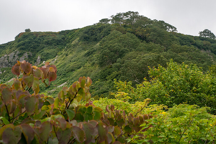 _DSC1855-1