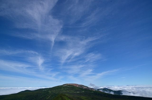 イメージ 14