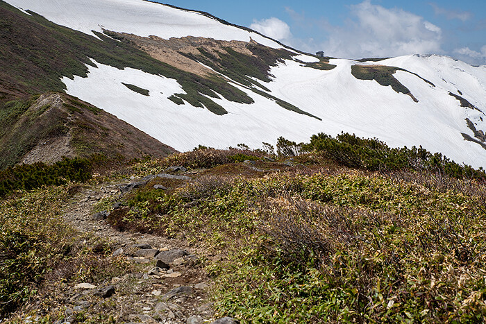 _DSC2672 (1)-1