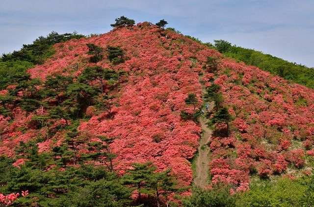 イメージ 11