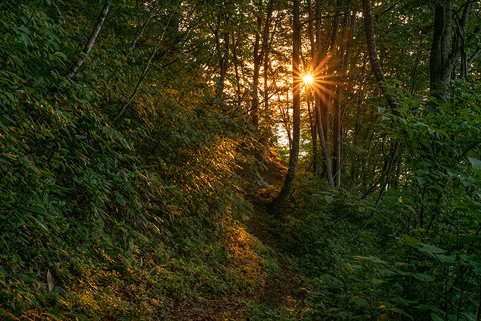 _DSC1721-1