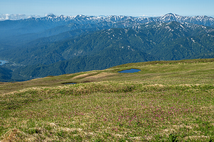 _DSC4482-2
