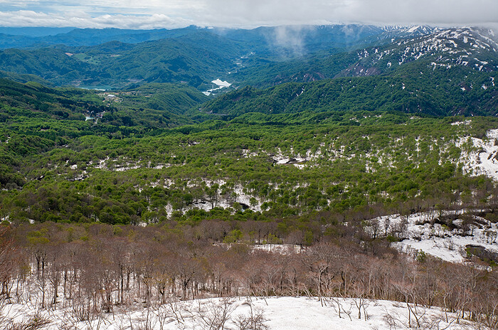 DSC_4554-2