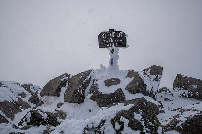 _DSC1748-1