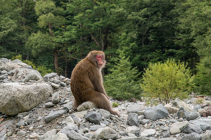 _DSC1682-1