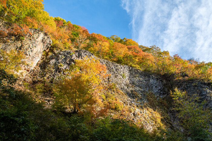 _DSC3567-1