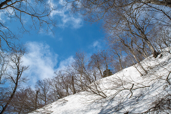 DSC_2934-1