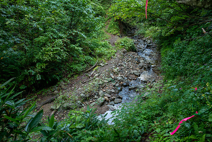 _DSC1742-1