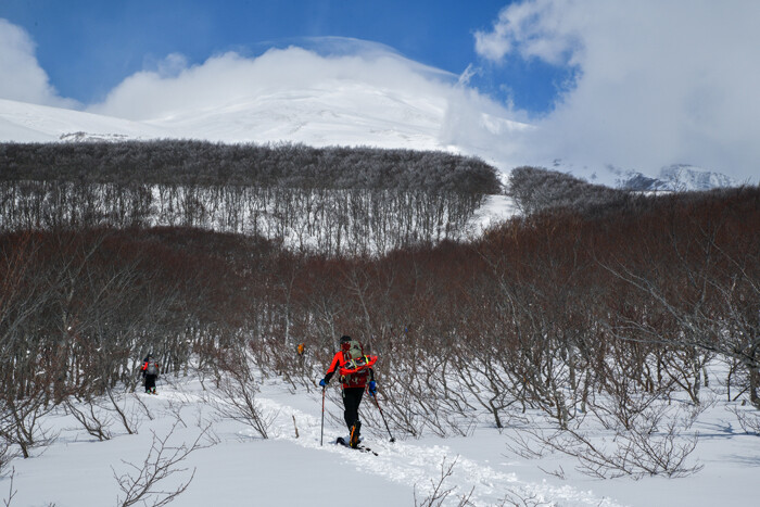DSC_1185-1e