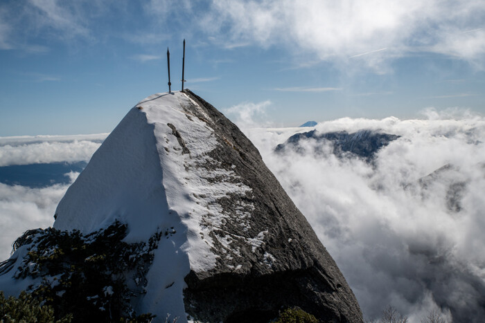 _DSC2878-1